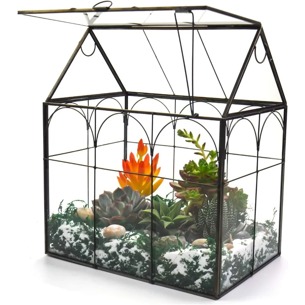 

Large Tall Plant Greenhouse Terrarium Glass with Lid, 8.7"X5.9"X10.6" Inches Indoor Tabletop Orchid Succulent Cacti Terrarium