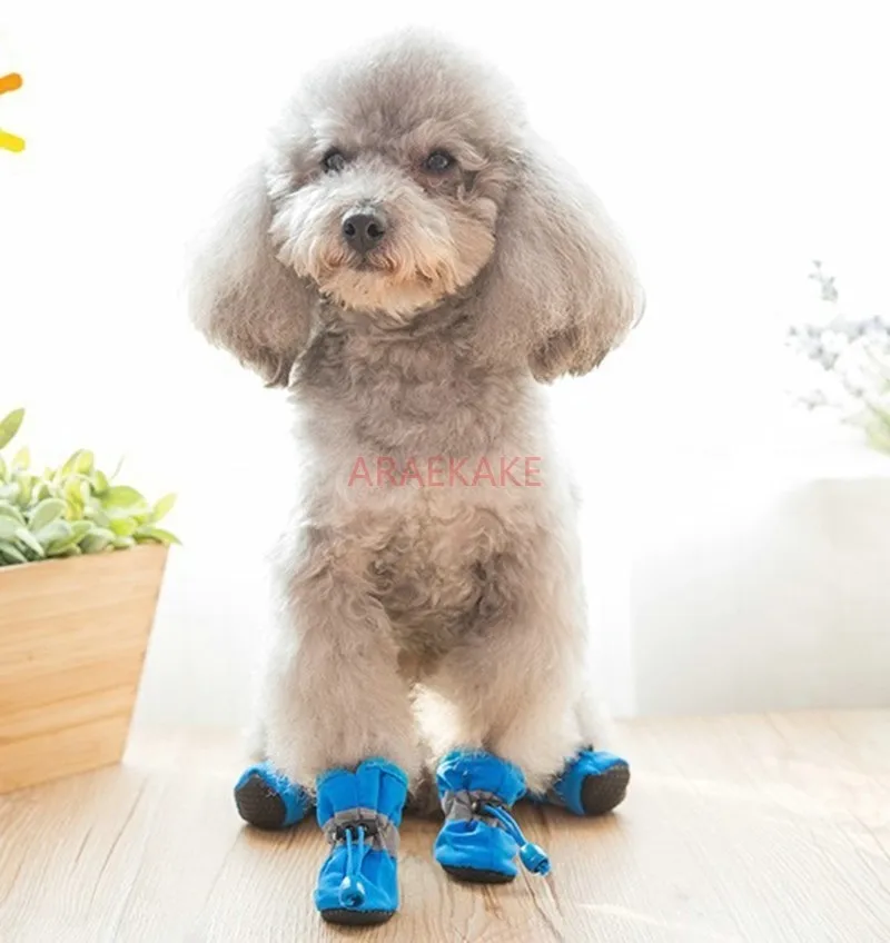 

Плюшевая собака, весенне-осенняя мягкая подошва, не падающая обувь, водонепроницаемый дождевик, чехол для маленькой собаки, биби, медведя, домашнее животное, кошка, чехол для ног, четыре