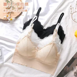 Underwear Lace Sexy Beauty Back Chest Wrap Traceless Vest Breathable Removable Chest Pad Strap Bra Tube Top Push up Bra for Wome