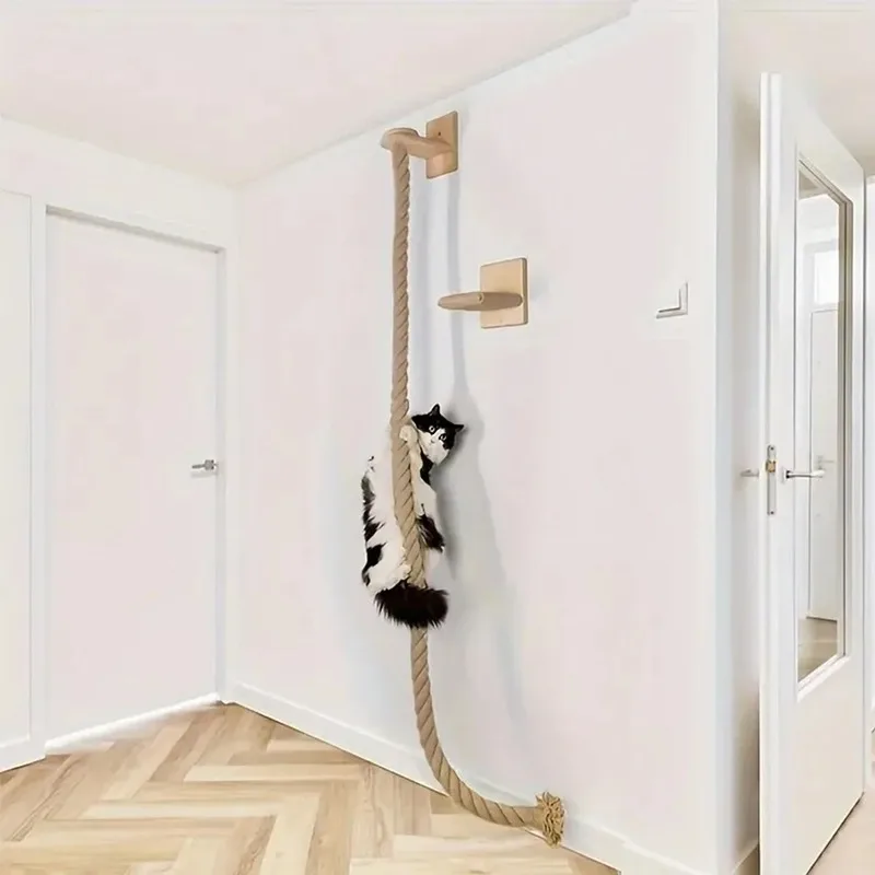 cat scratcher toy