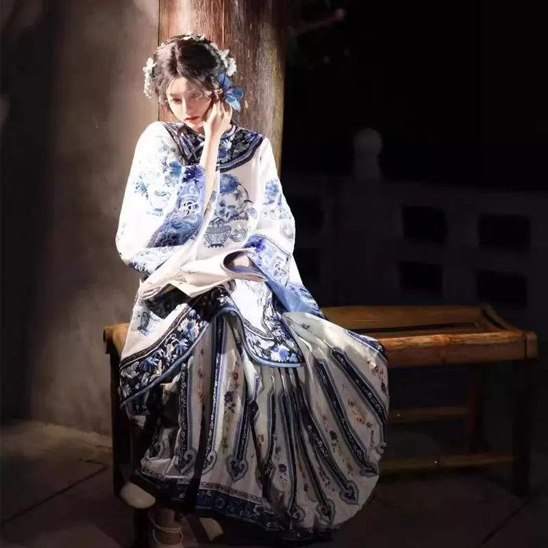 Qing Dynasty Dress Hanfu Women Horse-face Skirt Blue and White Porcelain Print Oriental Clothes Female Cosplay Costumes Party