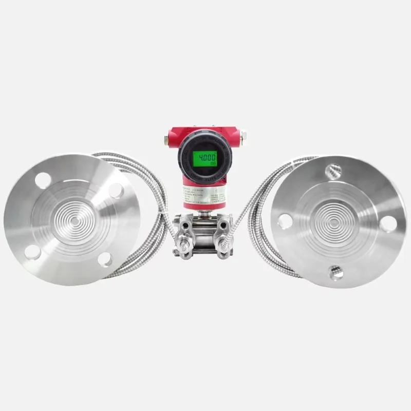 Double Flange Differential Pressure Capillary Level Transmitter +/-0.1% Accuracy SS316L Contact Parts IP67 Protection