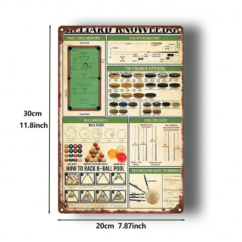 Vintage Iron Wall Art Plaque 8x12 Inch Retro Billiard Pool Table Rules Chart with Cue Ball Decor