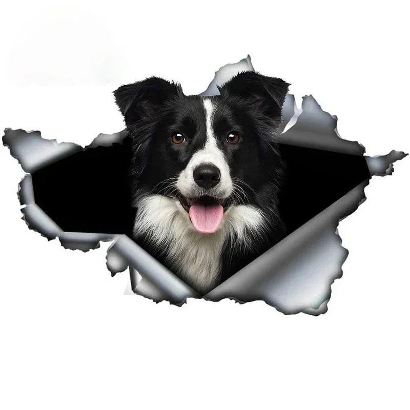 Personality Fun Pet Dog Border Collie Decal Car Sticker Trunk Bumper Sticker Waterproof and Sunscreen, 10cm