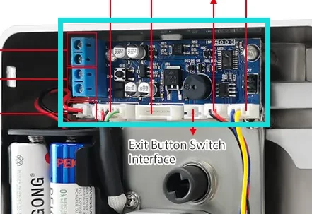 R5 Motor or Circuit board