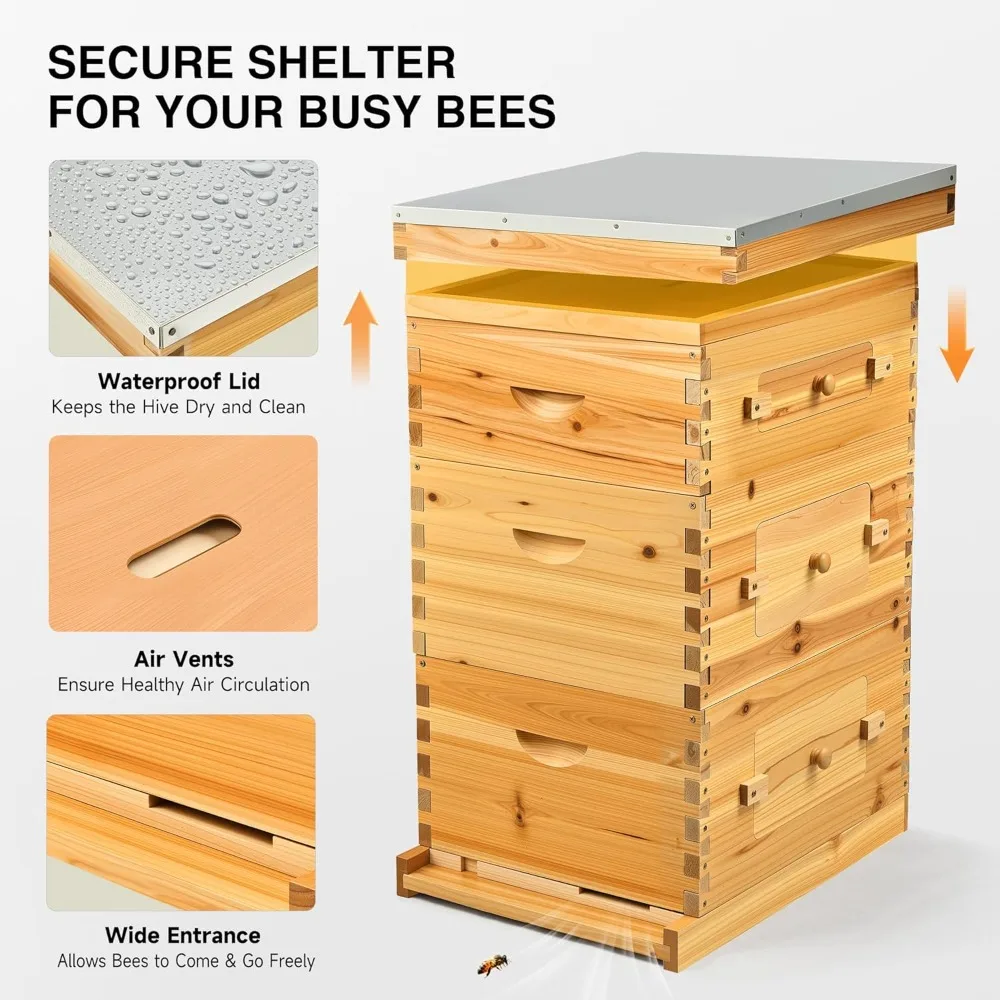 30 إطارًا من خلية النحل، مجموعة أدوات بداية صناديق خلية النحل مع صندوق متوسط وصندوقين عميقين، مجموعة خلية نحل مطلية بشمع العسل مع إطارات و