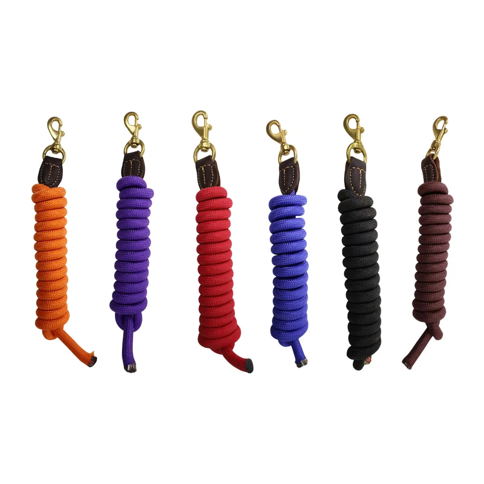 Horse Lead Rope 250cm Secure Metal Buckle Halter Lunge Line Equestrian Equipment for Horse Sports