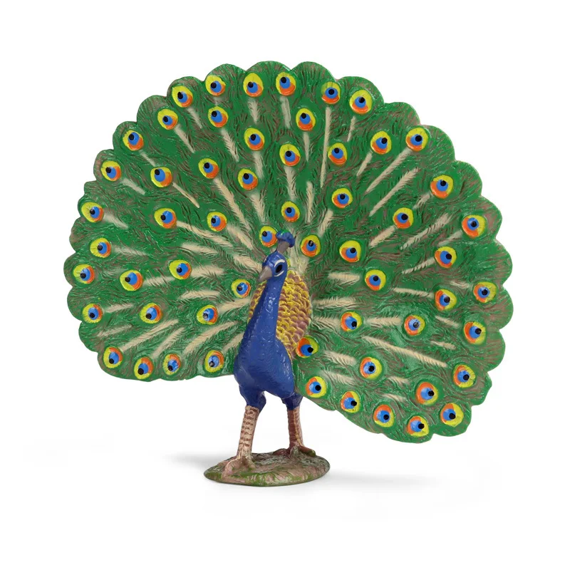 

Children's toy simulation peacock model solid static wildlife bird model plastic decorative ornaments