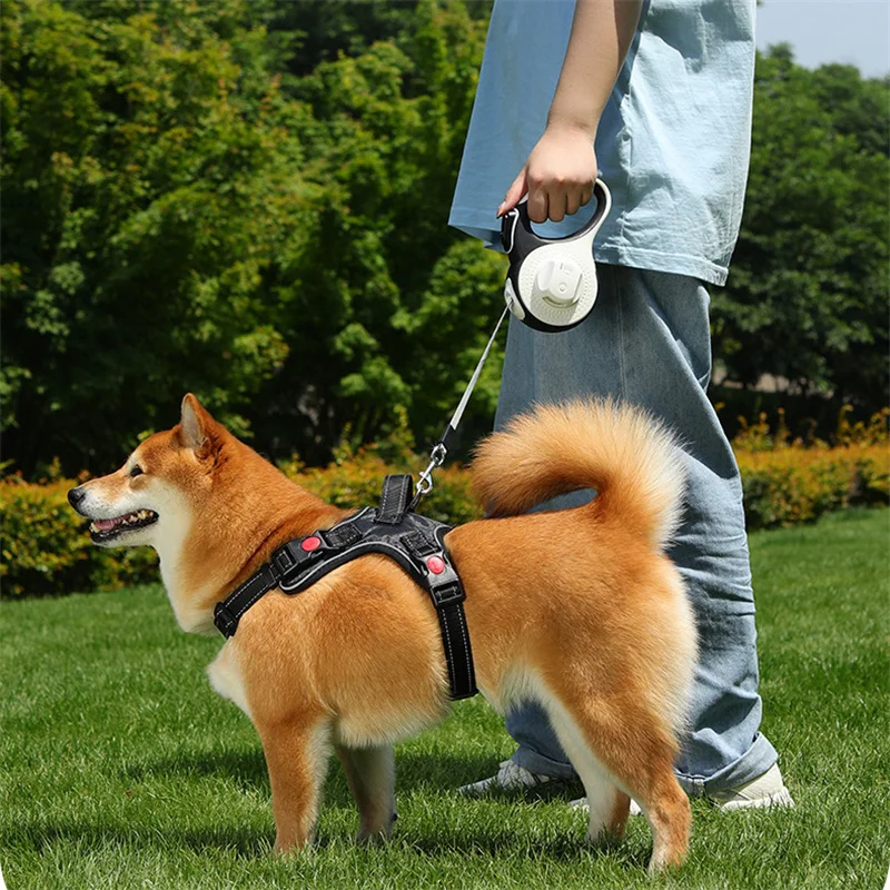 Thumbnail 3 - #38 Compare Retractable Dog Leads Before You Buy