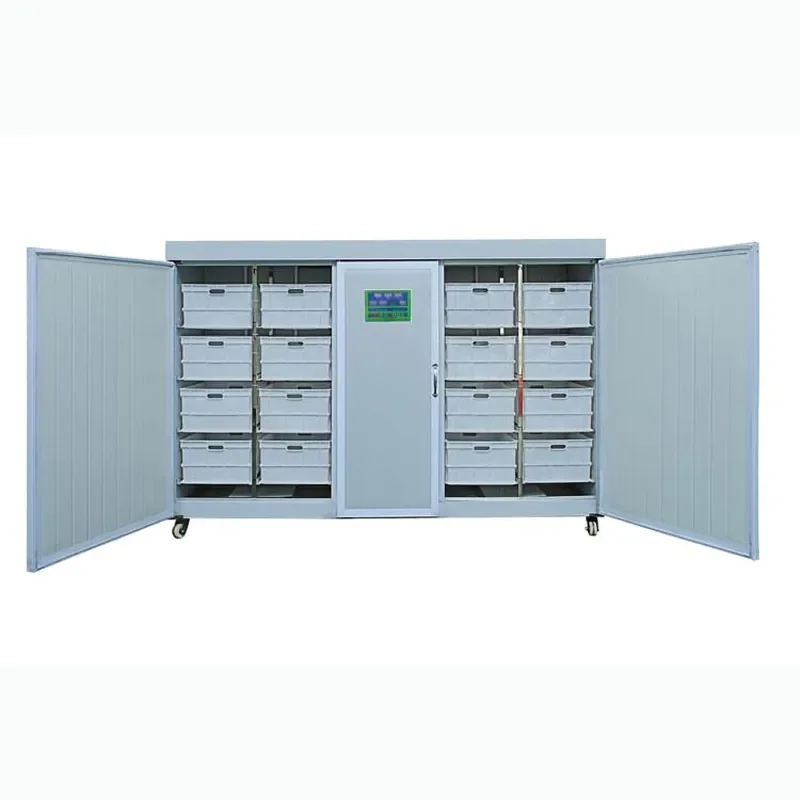 For Daily Output 250kg Mung Bean Germination and Growth Hydroponics Machine Automatic Sprouting Equipment