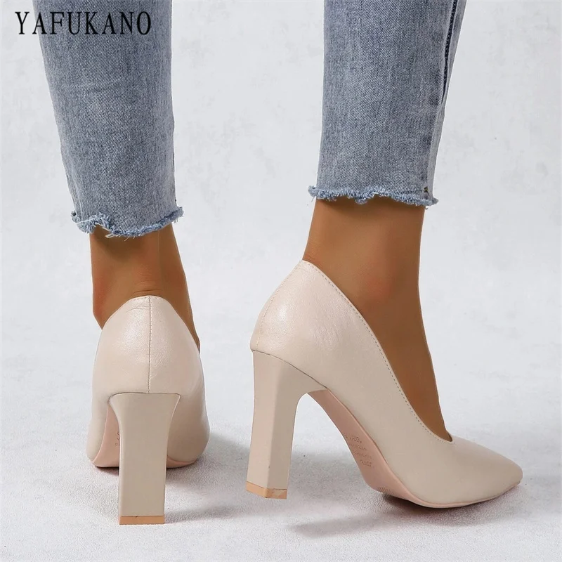 Classic Simple Point Toe Small Chunky Heeled Pumps Black Fashion Office Work Shoes Elegant Ladies Party Shoes Women\'s High Heels