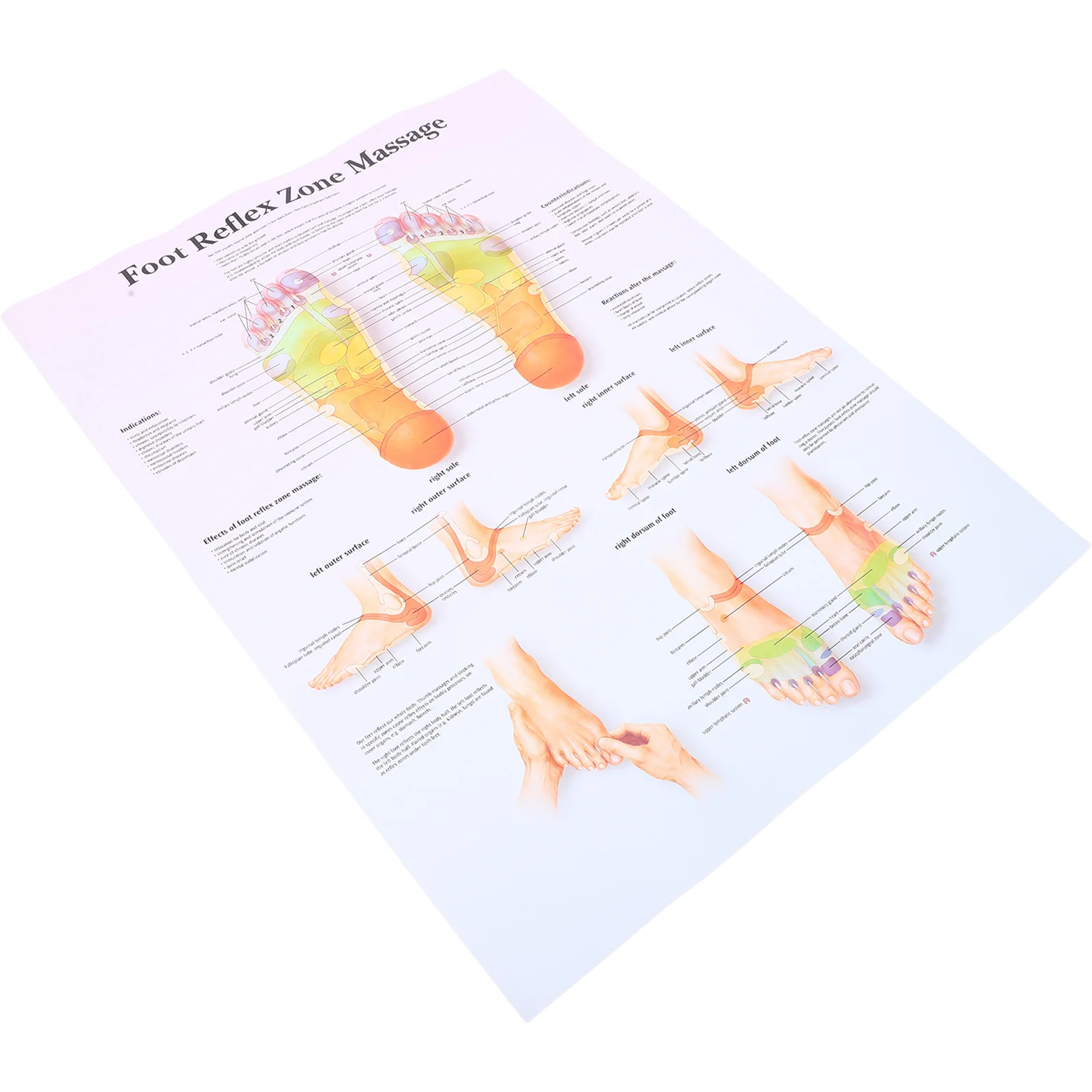 

Foot Reflexology Chart Poster 24X36 Inch Medical Teaching Tool Durable Educational Wall Art For Home Office Classroom Decor