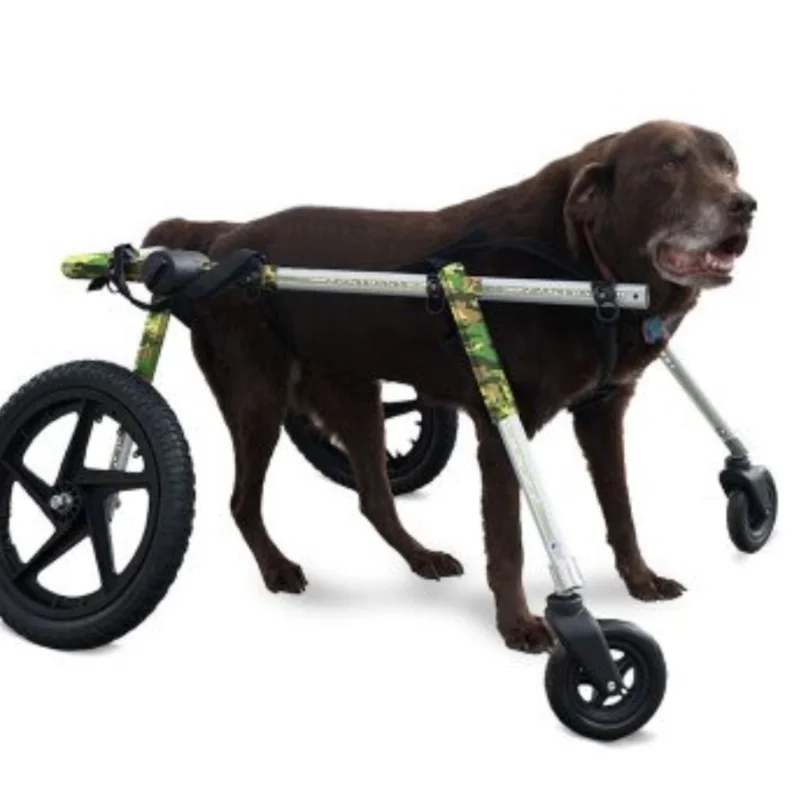 Dog Wheelchair Four Wheels Pet Paralysis Disabled Broken Leg Front and rear quadruple scooter Folding High Rehabilitation