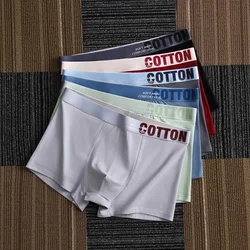 NEW Boxer Shorts Sports Men Underpants Man Cotton Soft Fashion Men's Panties Plus Size Panties Underwear Gift Luxury Underwears