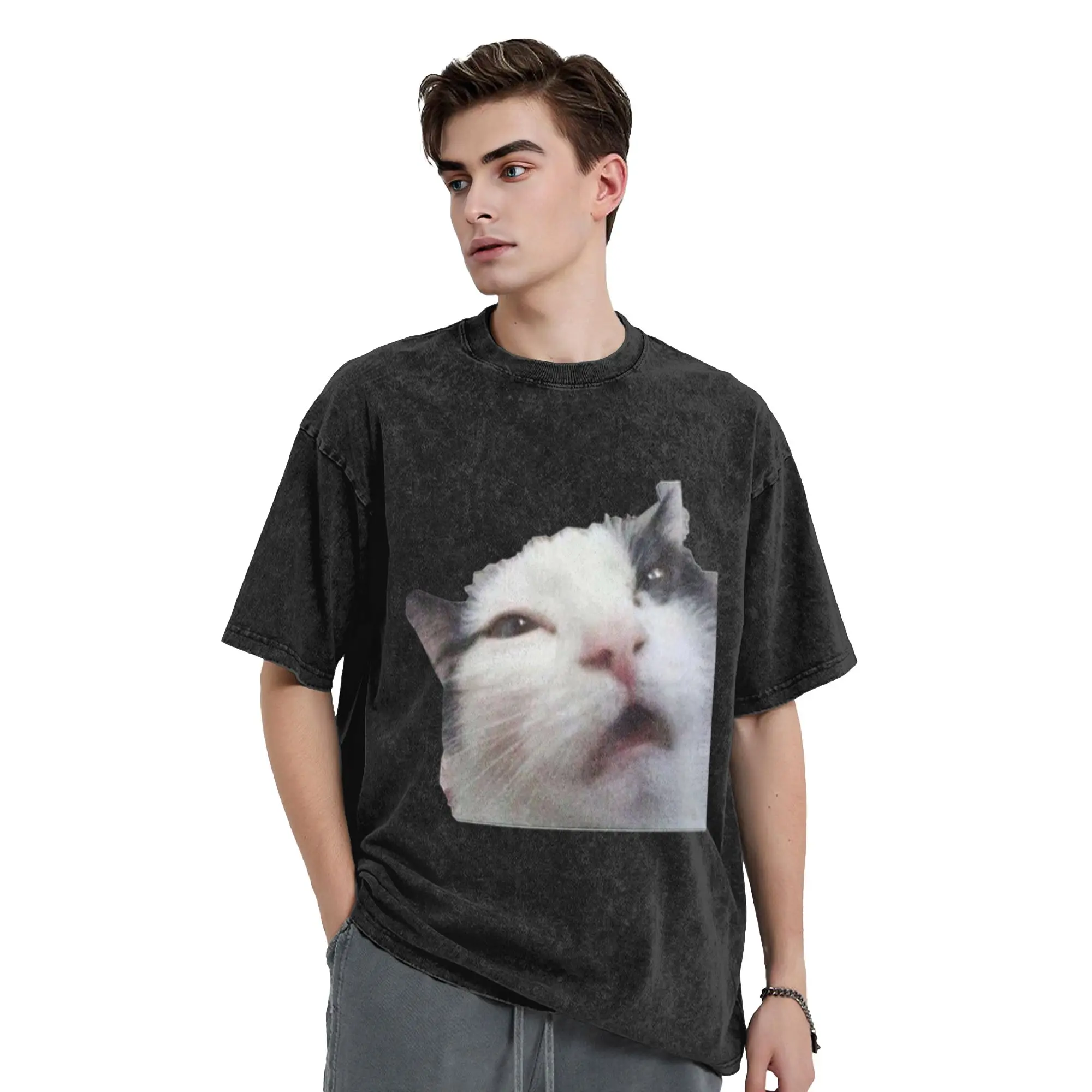 Cat Holliday meme Classic Trendy A Vintage Oversized Cotton Unisex T-Shirts