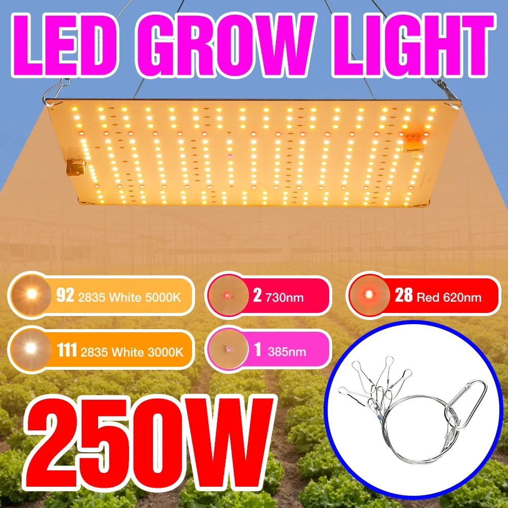 250 واط LED الطيف الكامل تنمو ضوء الكم مجلس النبات الأشعة فوق البنفسجية مصباح داخلي الدفيئة الطحلب زراعة الصبار العصاري ملء الإضاءة
