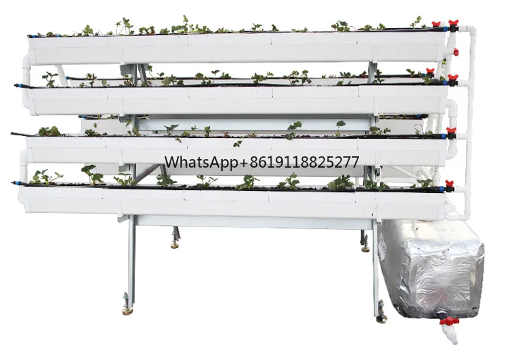 Inteligente Automático Hidropônico Crescer Kit, Sistema Interno, Equipamento De Horticultura Doméstica Para Plantas Hidropônicas Interiores