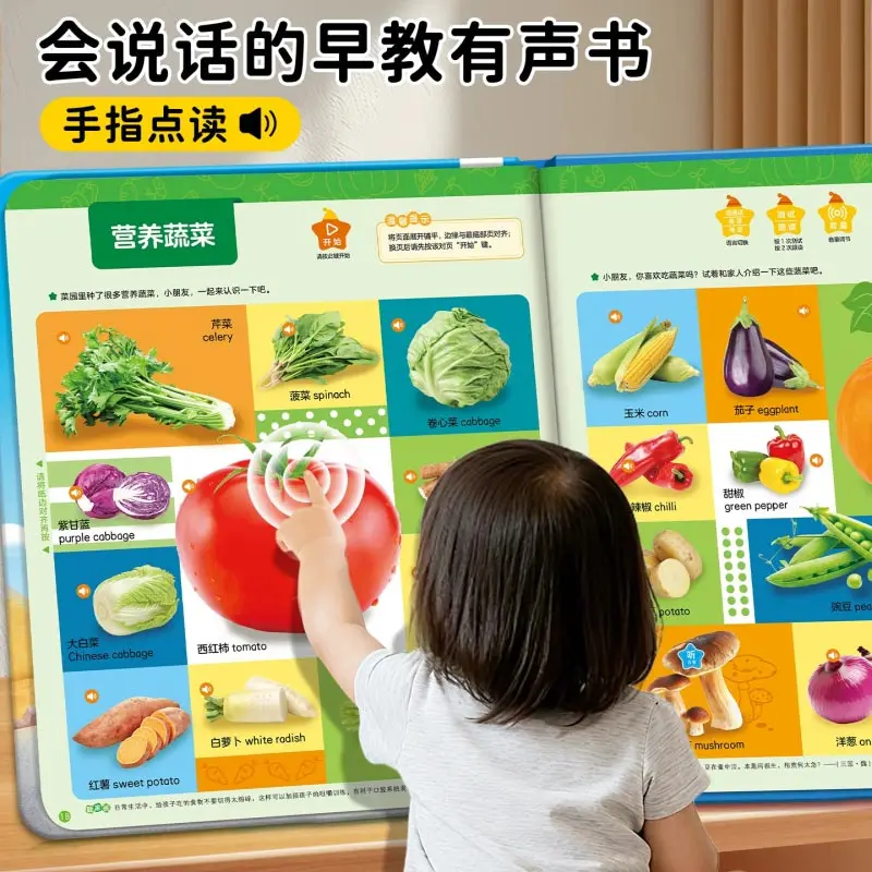Preschool Cognitive Geography Sound Book, Kids Geographic Knowledge Encyclopedia with Pinyin Early Literacy Enlightenment Book