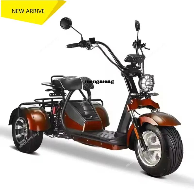 

Trike Motorcycle 10inch Fat Tires 45km/h 4000w Citycoco Three Wheel Electric Trike