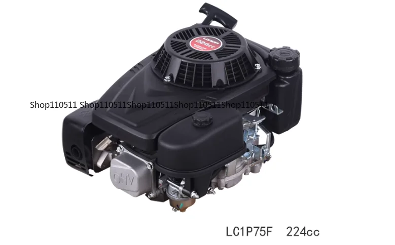 1P70/75F Vertical Shaft Engine 196/224cc, Replacement Motor for Remote Control Lawn Mower