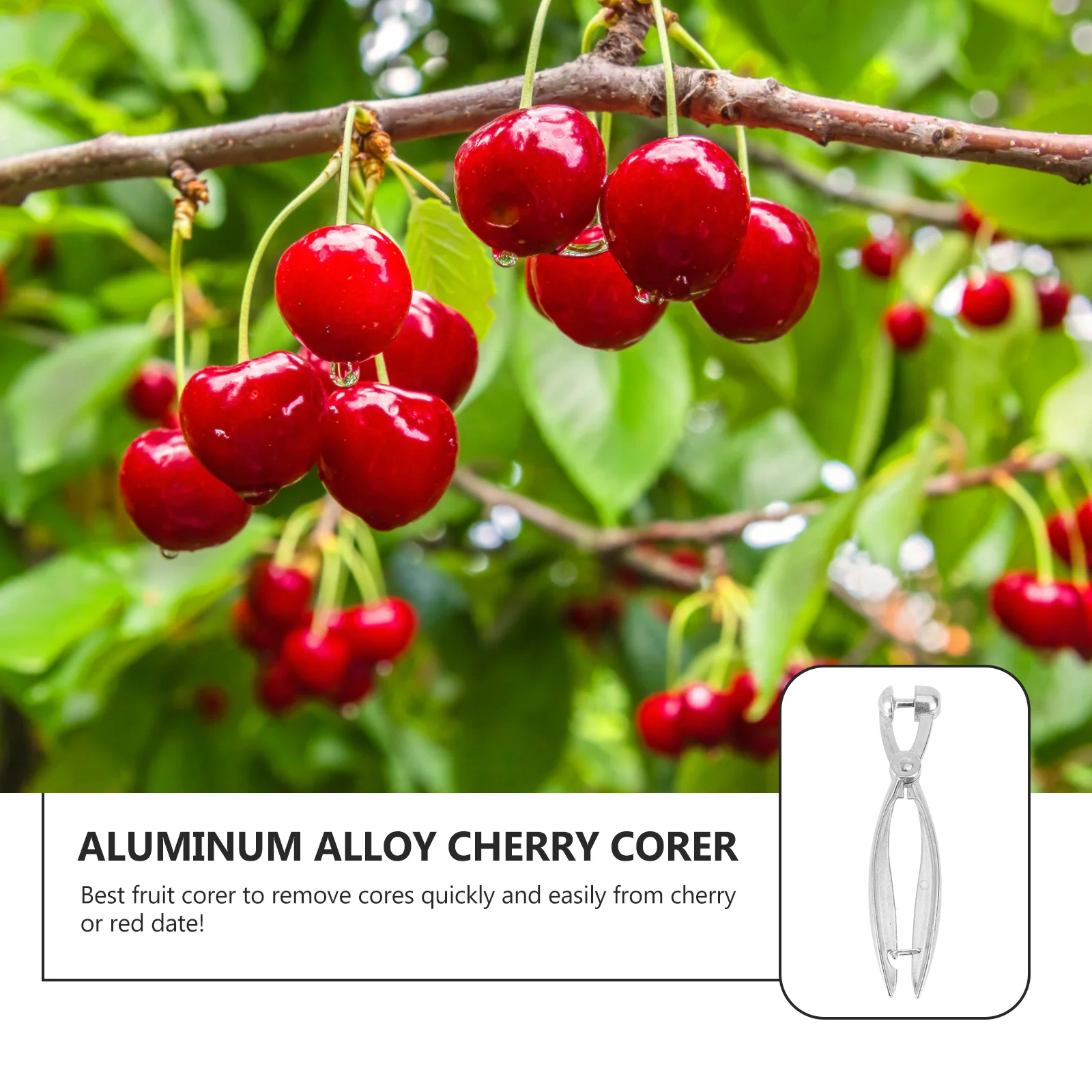 

1Pcs Cherry Core Remover Aluminum Fruit Corer Kitchen Gadget Ergonomic Handle Practical Core Removing Tool