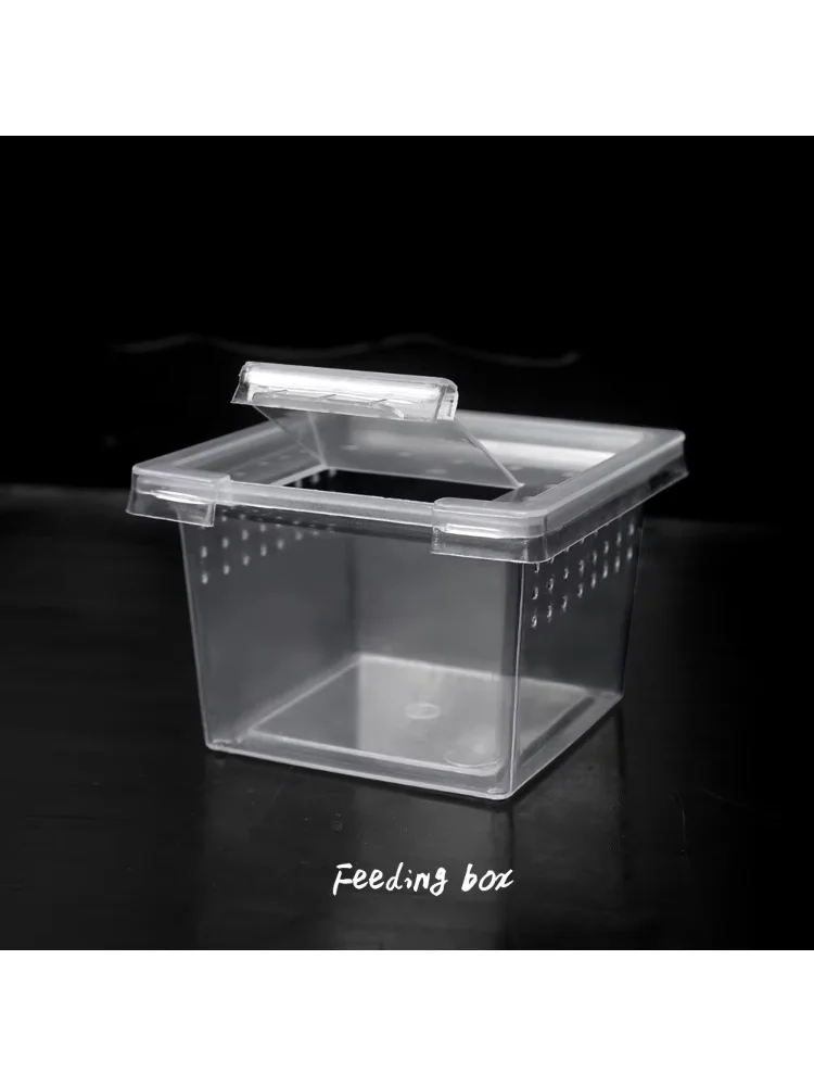 10x Feeding Box Reptile Cage Hatching Container Rearing Tank Clear Reptile Vivarium Terrarium Insect Rearing Box Food Feeding