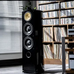 250W 8-inch Floor Passive Speaker Hi-fi Nautilus Speakers High-end Home Theater Speakers High-power Three-quarter audio