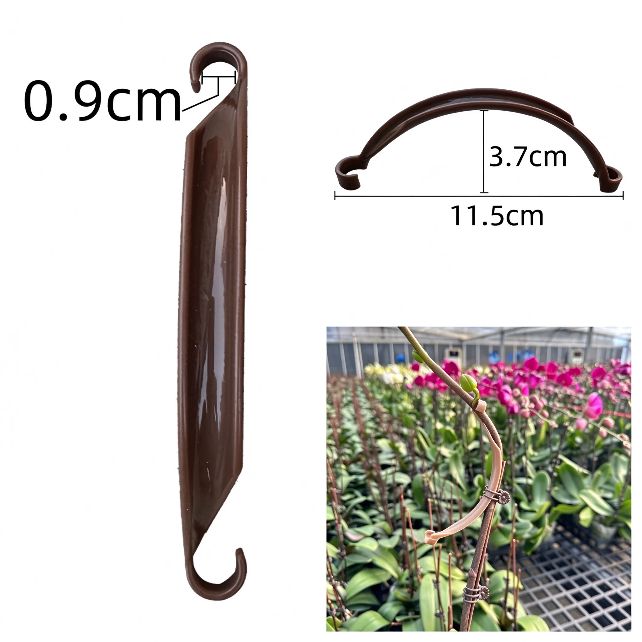 Horticulture Tools Self Watering Clear Design for Terrarium Bog Plants Ferns Hanging for Home Balcony Patio Garden Decoration