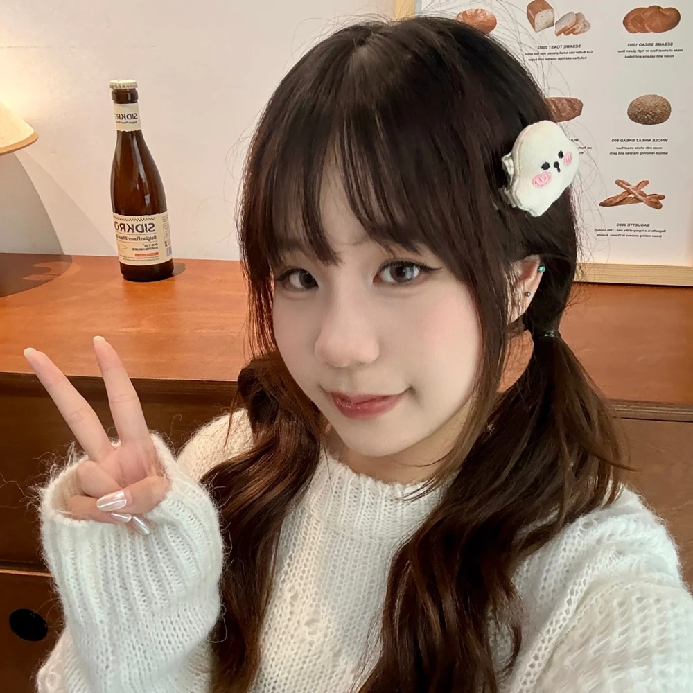 2025 الاتجاه الجديد الكرتون الكلب سحابة الآيس كريم مشبك شعر طالب لطيف بطة فاتورة كليب حفلة Kawaii إكسسوارات الشعر هدايا بالجملة #4