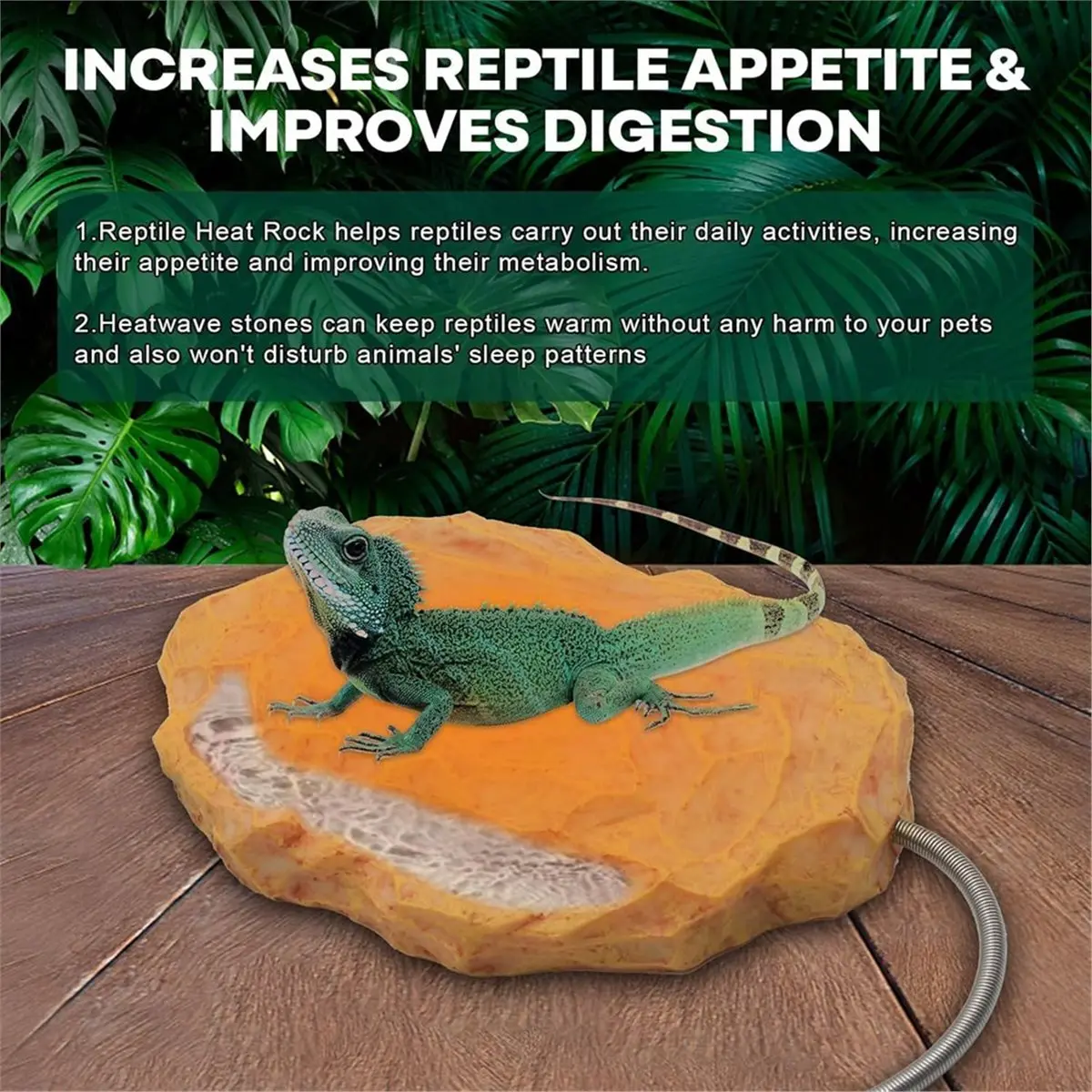 Oct Sale Reptile Heat Rock with Feeding Trough Heat Rock for Bearded Dragon Temperature Adjustment Heat Rocks US Plug