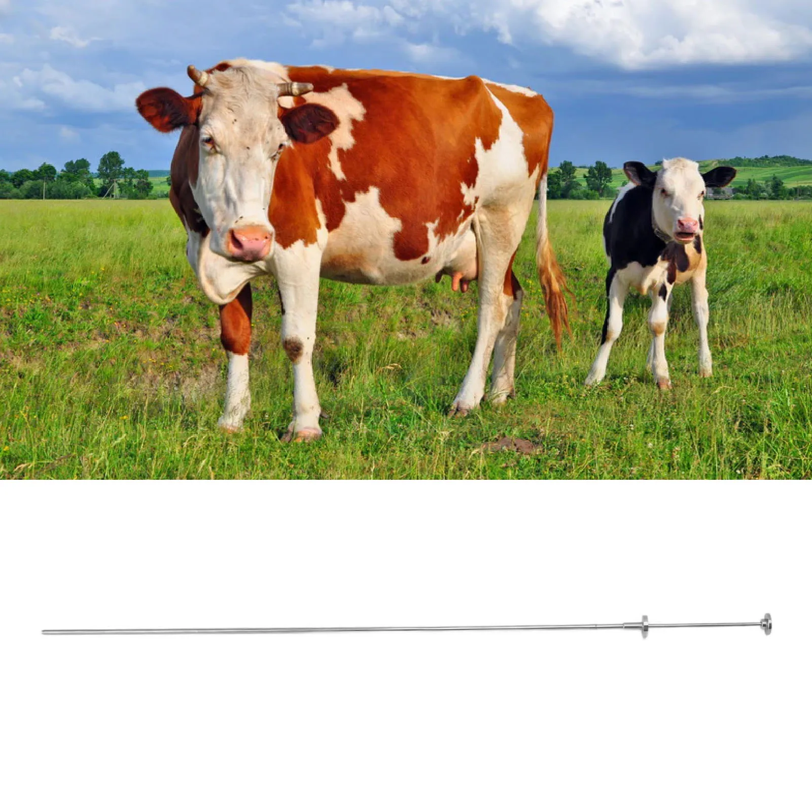 

Портативный инсеминирующий стержень для коров из нержавеющей стали, инструмент для искусственного разведения животных, 0,25 мл, 0,5 мл, универсальный