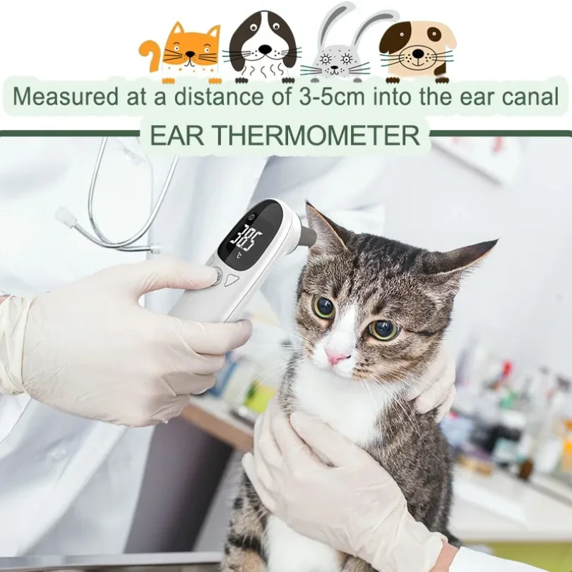 Thumbnail 4 - #18 Best Pet Thermometers to Buy In 2026