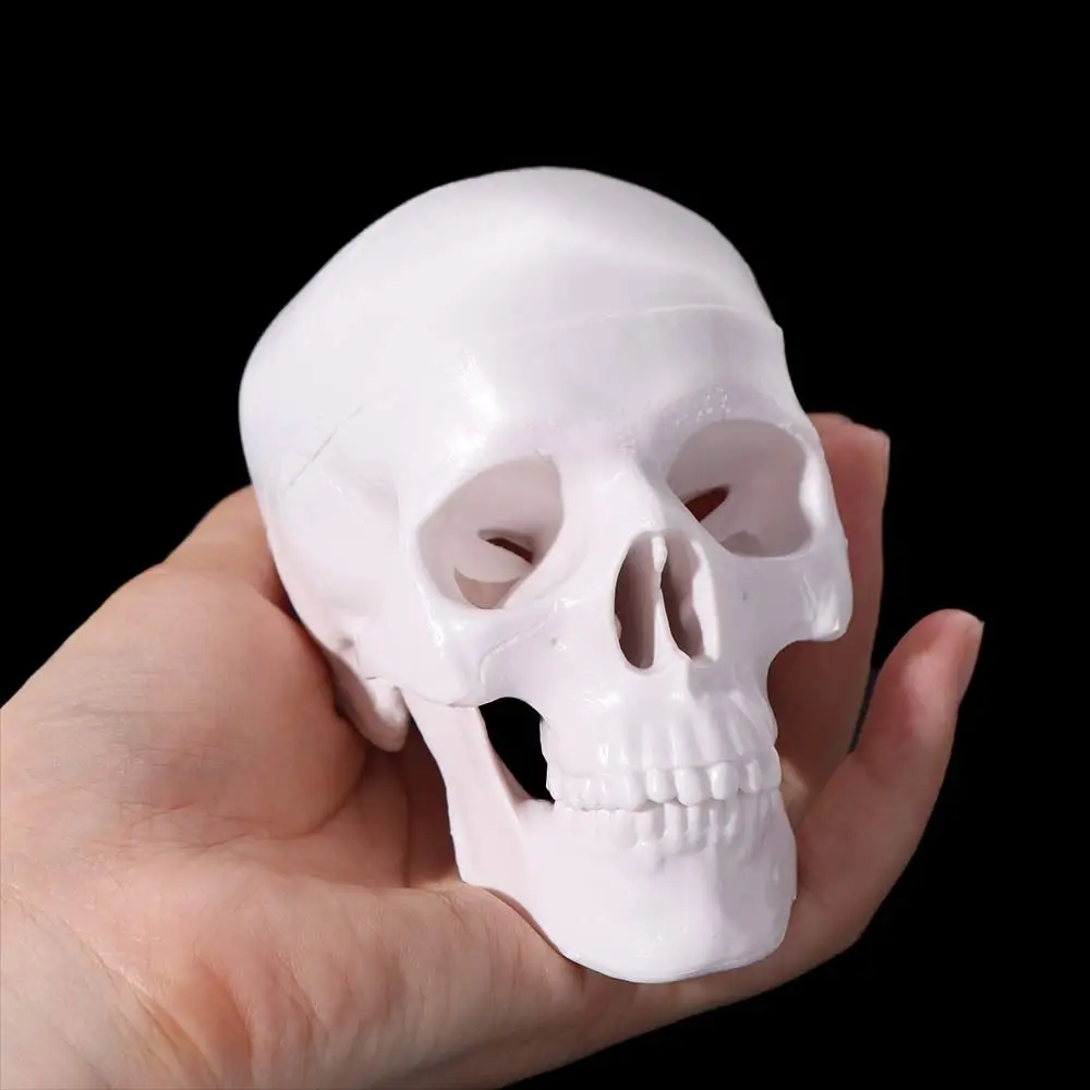

92x99x71mm Removable Skull Model Skull Cap Convenient Human Head Model Resin Mini Anatomical Head Skull Doctors Student