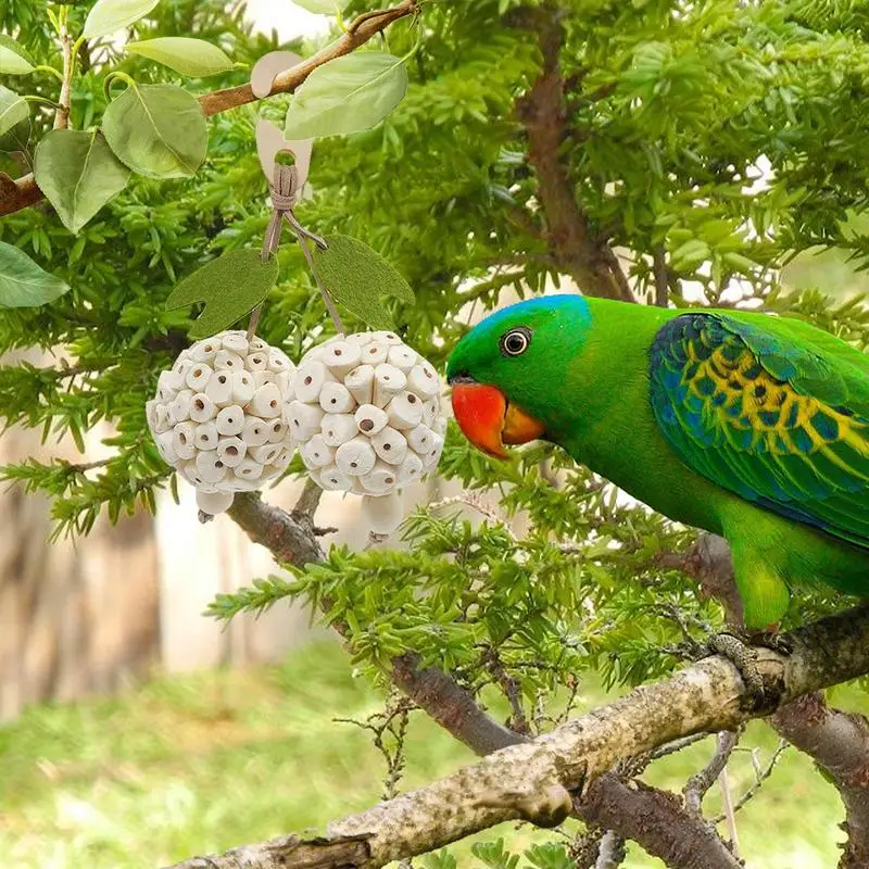 Bird Toys For Conures Parrot Chewing Foraging Toys Parrot Foraging Chewing Accessories Entertaining Cage Accessories For Budgies