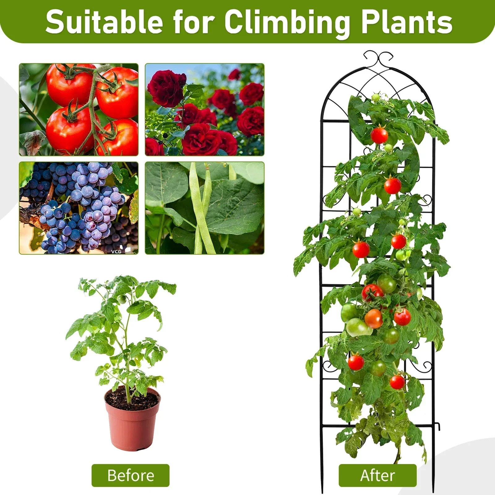 2 Pack 16" x 61" Rustproof Iron Garden Trellis for Climbing Plants Outdoor Flower Support Cream