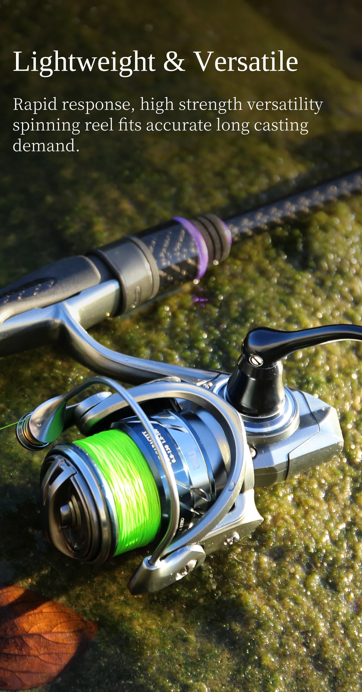 TSURINOYA METAL Spinnrolle MERLIN 1000 C2000S 165g Baitcast-Rolle ULTRALEICHT & VIELSEITIG Salzwasser-Bass-Hechtrolle – Detail 18