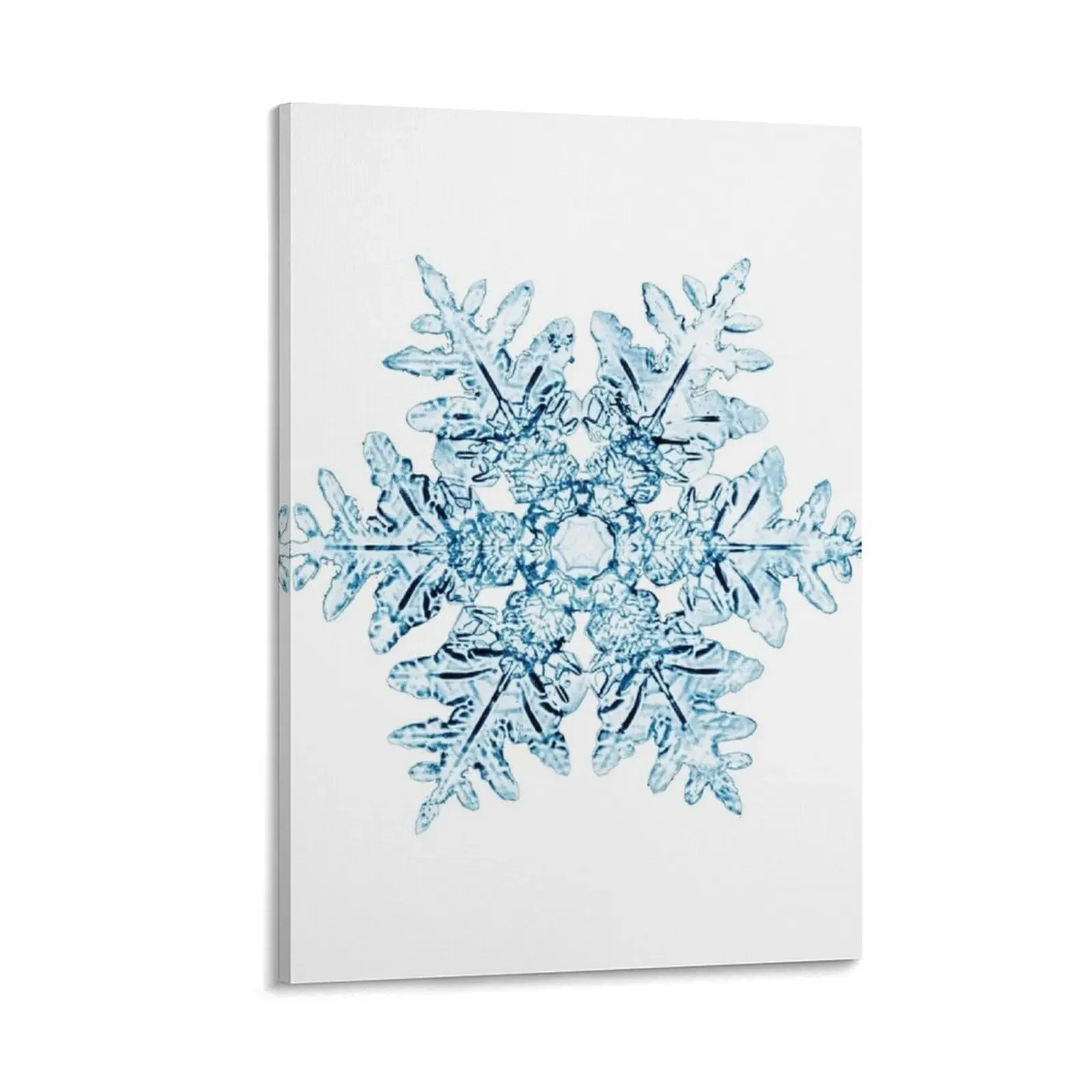 

Ice snowflake Canvas Painting stickers & posters room decorations aesthetic poster aesthetic