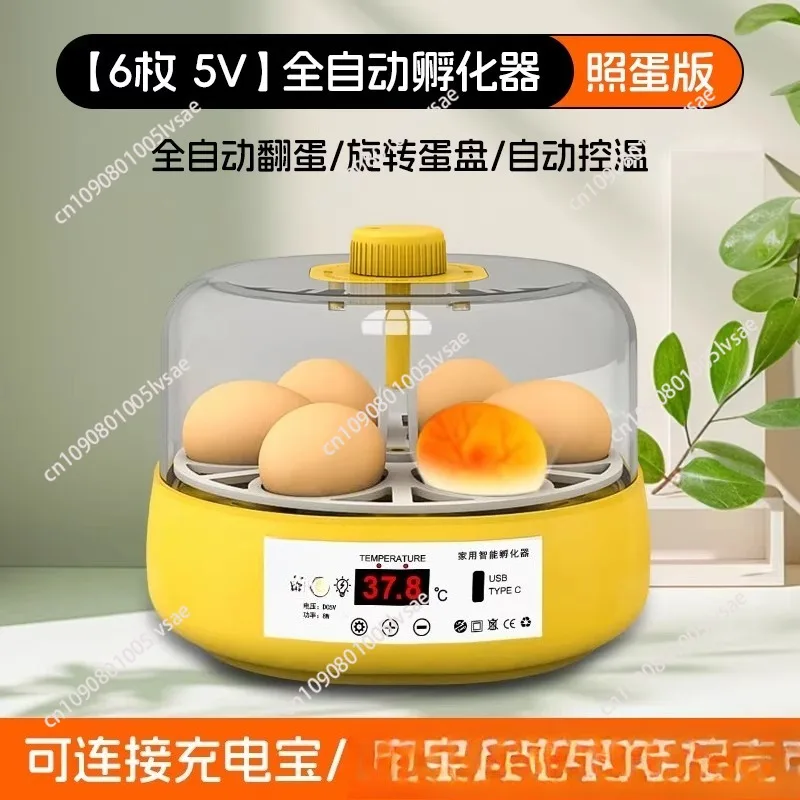 Egg Incubator Rutin Chicken Chick  Small Home Kids  Mini Intelligent Fully Automatic