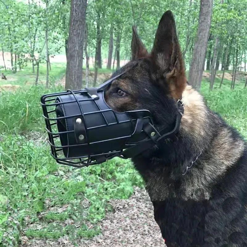 

Factory Manufacturer Leather Black Steel Dog Muzzle Dog Tactical Training Dog with Soft Collar
