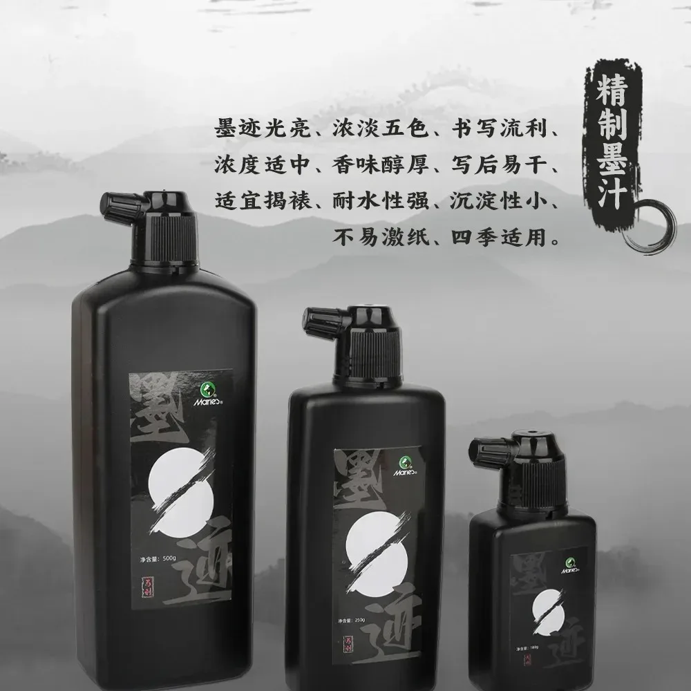 Superdicke chinesische Tinte für Kalligraphie, 500 g, 100 g, 250 g, große Flasche, Malerei, Kunstbedarf – Detail 11