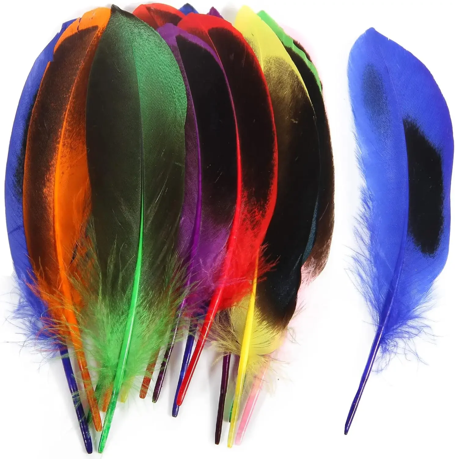 

Duck Feathers 100pcs 4-6 inch 10-15cm Bulk for Crafts Handmade Clothing Hats Home Wedding Party Decoration Feathers