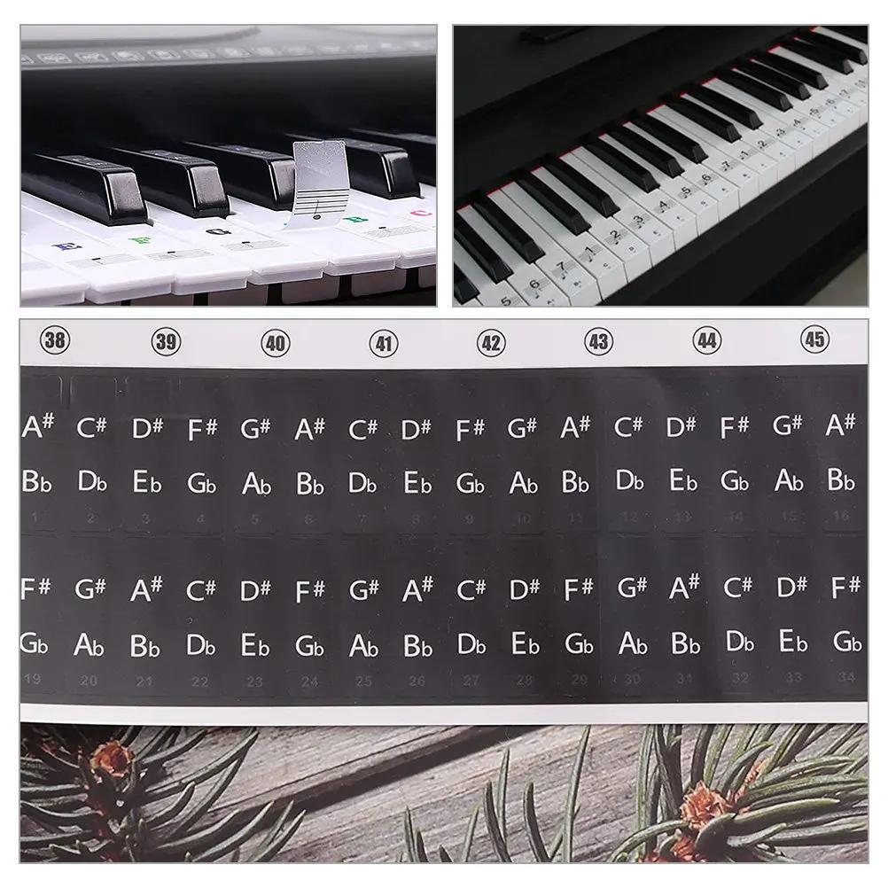 

3Pcs Piano Key Stickers with Integrated Sheet Music Notation Vibrant Removable Keyboard Labels for Beginners Electronic Piano
