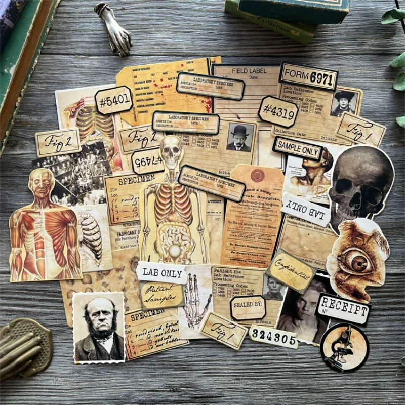 43Pcs Tim Holtz Style Medical Craft Paper Junk Journal Ephemera Human Anatomy Cardstock Collage Scrapbooking Material Paper Pack