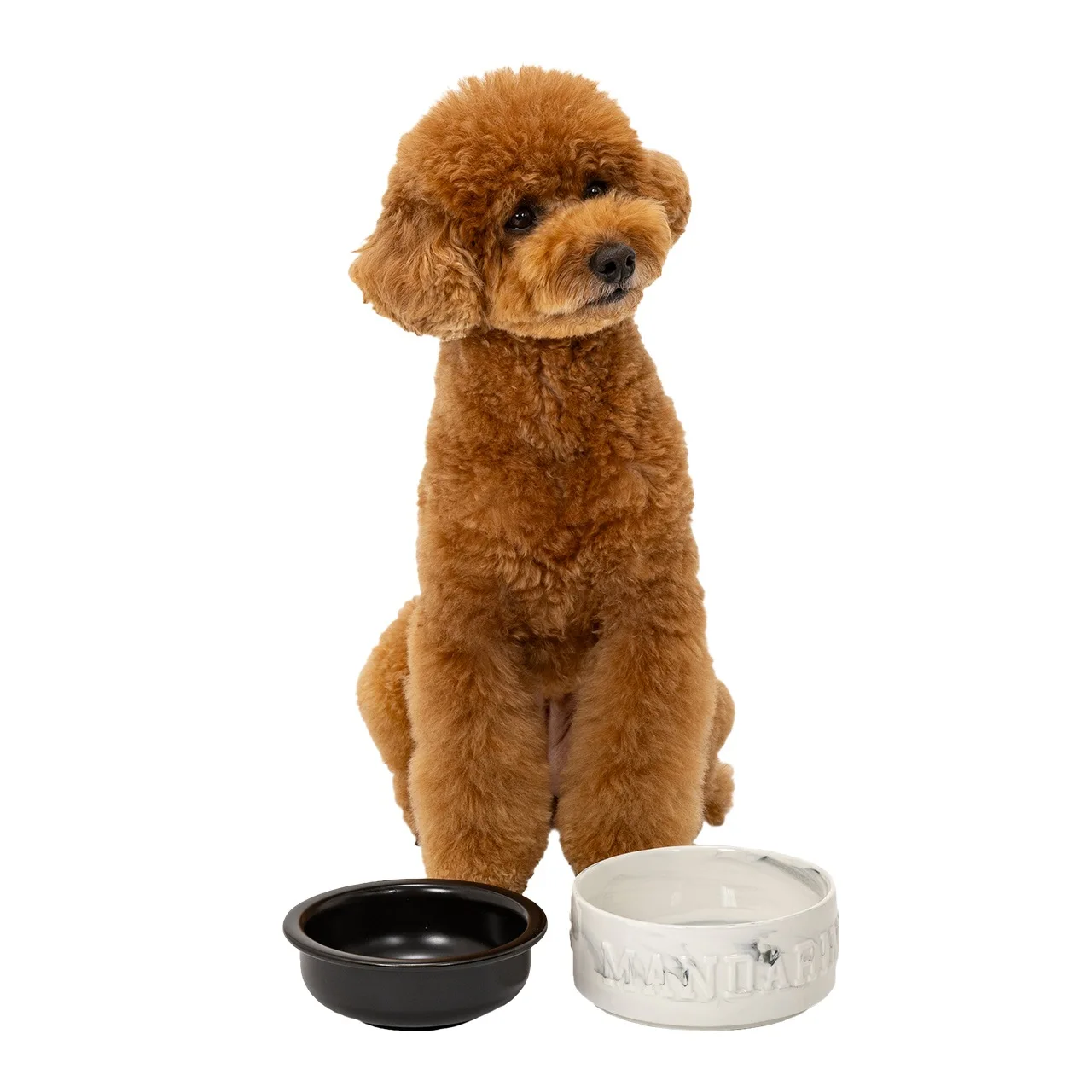 tazon-de-ceramica-para-perros-mandarine-brothers-tazon-para-agua-y-comida-para-mascotas-tamano-normal-articulos-para-el-hogar-comida-y-suministros-para-mascotas