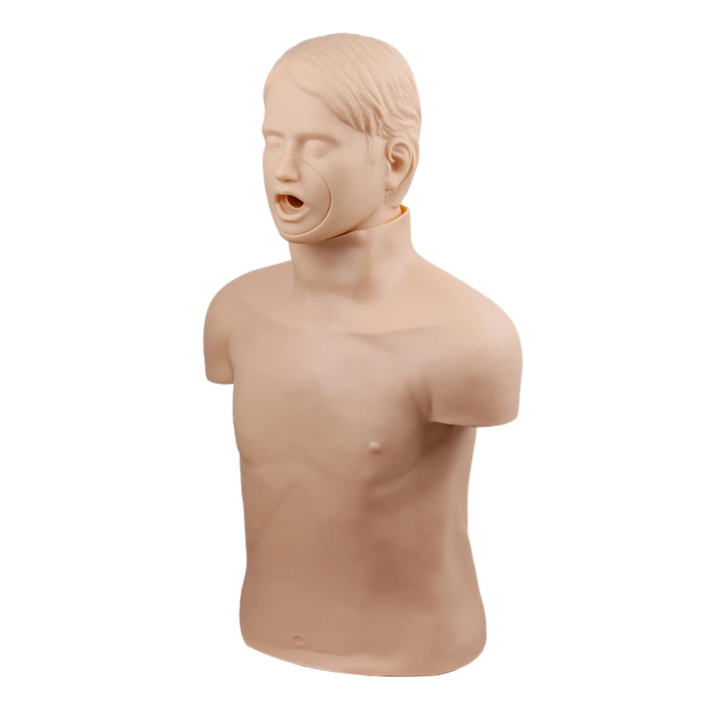 Medical Science Adult Obstruction Model Half Body CPR Training and Choking Manikin