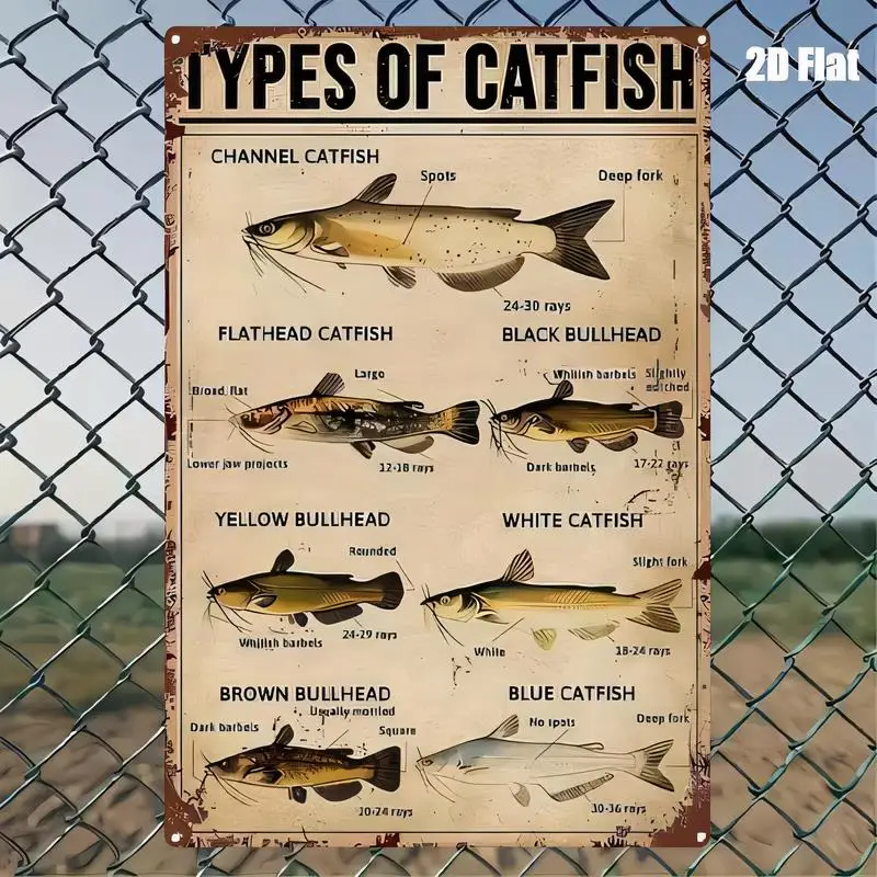 2D Flat Types of Catfish Vintage Metal Tin Sign - Retro Iron Wall Art with Detailed Catfish, for Fishing Lovers, Bars, Cafes & H