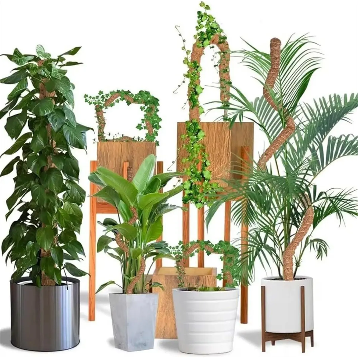 bhbl-moss-pole-monstera-suporte-para-plantas-estacas-dobraveis-para-plantas-de-interior-suporte-para-varas-de-plantas-para-plantas-de-escalada-pacote-com-2