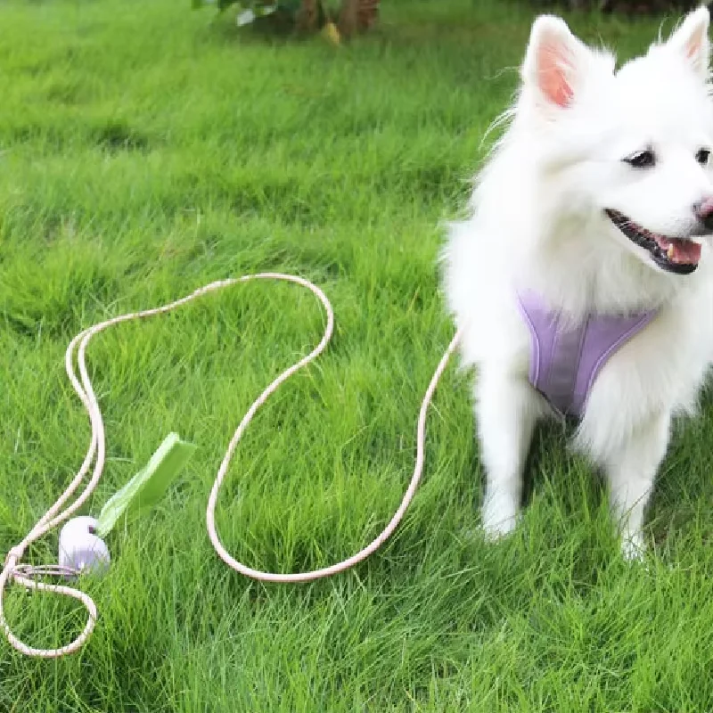 مقود حيوانات أليفة من السيليكون PVC عالي الجودة مقاوم للماء ومتين، مناسب لتدريب الكلاب الصغيرة والمتوسطة والكبيرة.