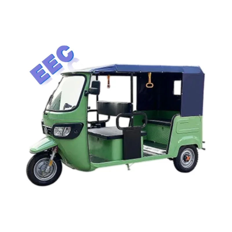 電気三輪オートバイ,ガソリン車,リン酸塩ツーリング