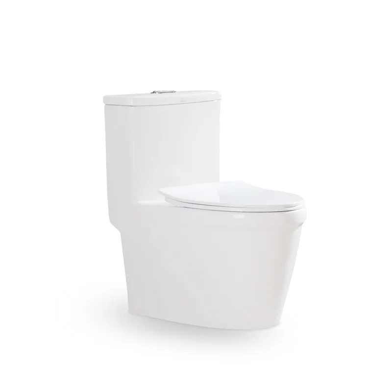 

Anti-freeze crack toilet, double-layer deodorant , ordinary toilet with large pipe and large nest mouth